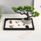 УЦЕНКА Японский сад камней настольный «Дзен. Раскидистое дерево в саду», набор аксессуаров, 20×30×18.5 см - Фото 1