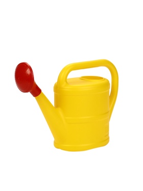 Лейка, 2.5 л, с рассеивателем, МИКС