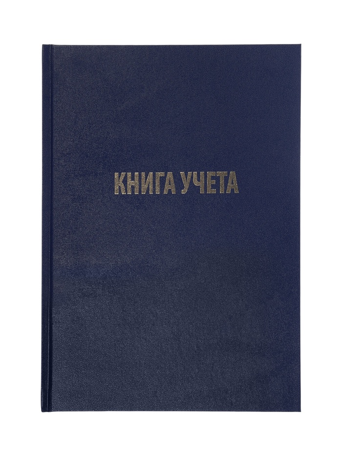 Книга учета А4, 128 листов, клетка, 200×290 мм, бумвинил, синий, блок офсетный - Фото 1