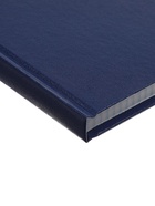 Книга учета А4, 192 листа, клетка, 200×290 мм, бумвинил, синий, блок офсетный - Фото 3