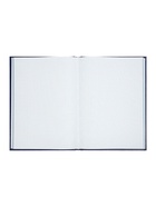 Книга учета А4, 192 листа, клетка, 200×290 мм, бумвинил, синий, блок офсетный 10988278