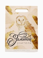 УЦЕНКА Подарочный набор: ежедневник, стикеры и ручка шариковая, синяя паста «Золотой учитель» 767140 - Фото 2