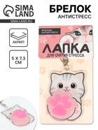 Брелок мялка антистресс «Лапка котика», для ключей, 5×7.3 см - Фото 1