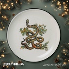 УЦЕНКА Тарелка Доляна «Василиск», 24×24×2.5 см - Фото 1