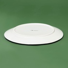 УЦЕНКА Тарелка Доляна «Василиск», 24×24×2.5 см - Фото 3