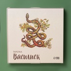 УЦЕНКА Тарелка Доляна «Василиск», 24×24×2.5 см - Фото 4