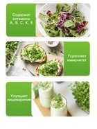 Семена Микрозелень Руккола, 5 г, «Рецепты дедушки Никиты» - Фото 3