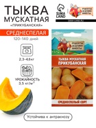 Семена Тыква мускатная "Прикубанская", 2 г - Фото 1