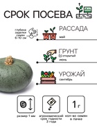 Семена Тыква мускатная "Прикубанская", 2 г - Фото 2
