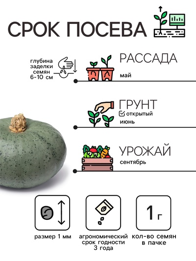 Семена Тыква мускатная "Прикубанская", 2 г