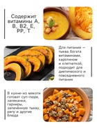 Семена Тыква мускатная "Прикубанская", 2 г - Фото 3