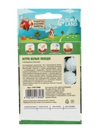 Семена цветов Астра "Белые лебеди "0.2 г - Фото 2