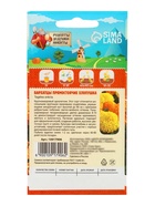 Семена цветов Бархатцы прямостоячие "Хлопушка", 0,2 г - Фото 2