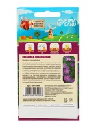 Семена цветов Гвоздика многолетняя лавандовая, 0.05 г, «Рецепты дедушки Никиты» - Фото 2