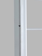 УЦЕНКА Стойка с сеткой, двухсторонняя, в комплекте 16 полок для семян, 63*49*183 см, цвет белый 4192 - Фото 13