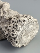 УЦЕНКА Фигурка «Оборотень», 12×7.5×7.5 см, серый - Фото 7