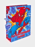 Пакет подарочный «Супергерой», 26×9×30 см - фото 121985394