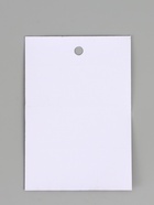 Наклейки бумажные «Принцессы», 11×15.5 см - Фото 4