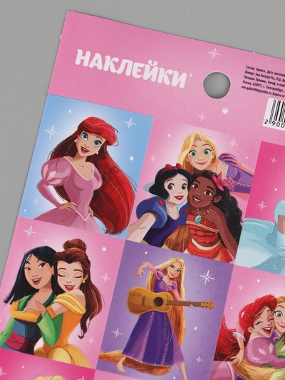 Наклейки бумажные «Принцессы», 11×15.5 см