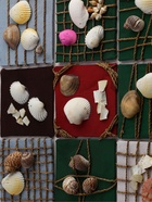 Панно «Композиция из ракушек», 44×2.5×44 см - фото 809612309