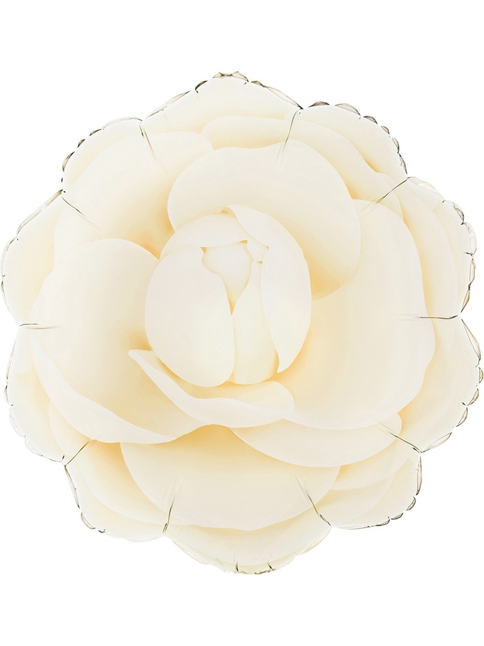 Воздушный шар фольгированный 19