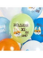 Воздушные шары латексные 12" «С днём рождения. Корги», набор 25 шт.  (артикул 10993593)  большой выбор товаров оптом и в розницу по низким ценам с доставкой