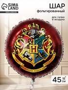 Воздушный шар фольгированный 18" «Волшебная школа» 10993594