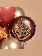 Воздушный шар фольгированный 18" «Волшебная школа» 10993594