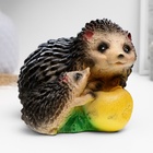 УЦЕНКА Копилка "Два ежика" 18х15х14см - Фото 1