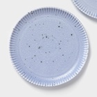 УЦЕНКА Набор тарелок 2 шт "Коралл" 20,8х20,8х2,3 см, цвет голубой - Фото 3