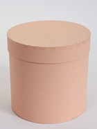 УЦЕНКА Набор шляпных коробок 5 в 1 "Пудра",20 × 20 × 20‒13,5 × 13,5 × 13,5 см - Фото 2