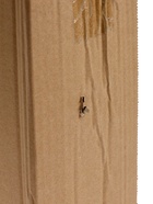 УЦЕНКА Часы настенные двусторонние, на подвесе «Птичка на ветке», циферблат d=21 см, 50×32 см 2839 - Фото 10