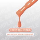 УЦЕНКА Гель-лак для ногтей 3-х фазный LED/UV 10мл SIMPLE 179 (п13/1-317) QF - Фото 2
