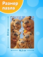 Пазл «Веселые капибары», 80 деталей 10963543