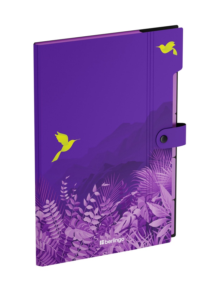 Папка А4 Flower Art, 5 отделений, 600 мкм, на кнопке, с рисунком - Фото 1