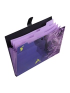 Папка А4 Flower Art, 5 отделений, 600 мкм, на кнопке, с рисунком - Фото 3