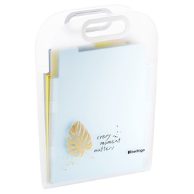 Папка А4 Eco, 6 отделений, 650 мкм, вертикальная, с ручкой, прозрачная, с рисунком