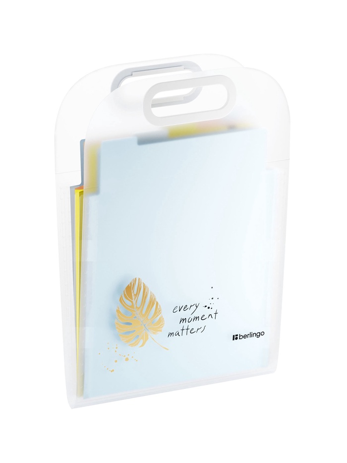 Папка А4 Eco, 6 отделений, 650 мкм, вертикальная, с ручкой, прозрачная, с рисунком - Фото 1