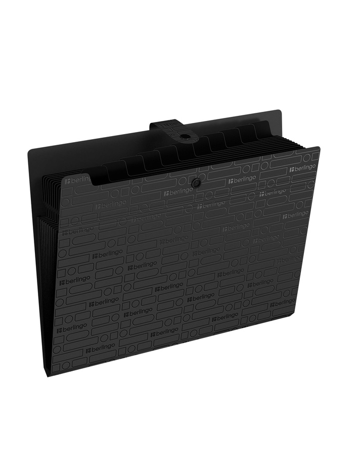 Папка А4 Your Way, 12 отделений, 600 мкм, на кнопке, чёрная - Фото 1