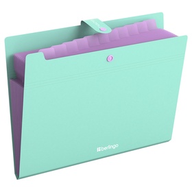 Папка А4 Haze, 12 отделений, 600 мкм, на кнопке, мятная