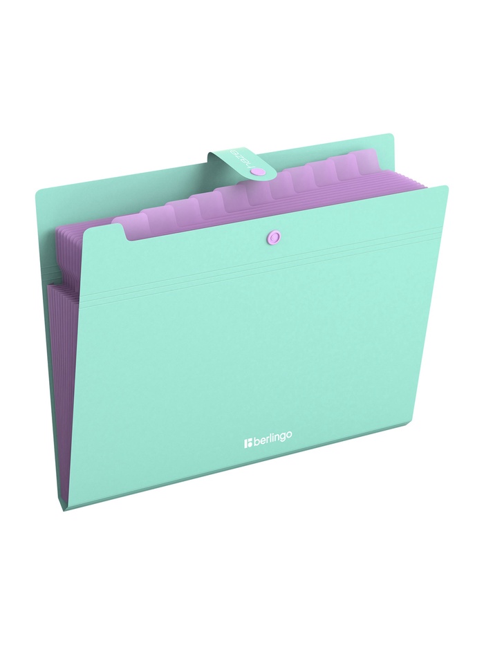 Папка А4 Haze, 12 отделений, 600 мкм, на кнопке, мятная