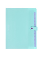 Папка А4 Haze, 12 отделений, 600 мкм, на кнопке, мятная  (артикул 10998369)  большой выбор товаров оптом и в розницу по низким ценам с доставкой