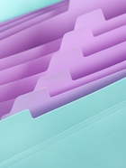 Папка А4 Haze, 12 отделений, 600 мкм, на кнопке, мятная  (артикул 10998369)  большой выбор товаров оптом и в розницу по низким ценам с доставкой