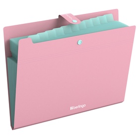 Папка А4 Haze, 12 отделений, 600 мкм, на кнопке, розовая