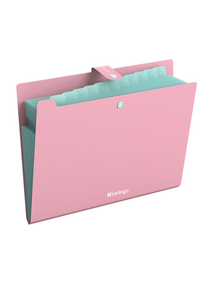 Папка А4 Haze, 12 отделений, 600 мкм, на кнопке, розовая