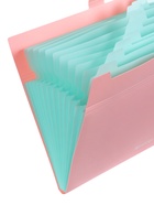 Папка А4 Haze, 12 отделений, 600 мкм, на кнопке, розовая  (артикул 10998371)  большой выбор товаров оптом и в розницу по низким ценам с доставкой