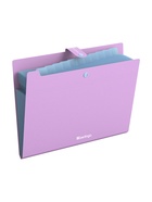 Папка А4 Haze, 12 отделений, 600 мкм, на кнопке, сиреневая  (артикул 10998372)  большой выбор товаров оптом и в розницу по низким ценам с доставкой