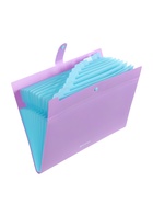 Папка А4 Haze, 12 отделений, 600 мкм, на кнопке, сиреневая  (артикул 10998372)  большой выбор товаров оптом и в розницу по низким ценам с доставкой