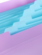 Папка А4 Haze, 12 отделений, 600 мкм, на кнопке, сиреневая  (артикул 10998372)  большой выбор товаров оптом и в розницу по низким ценам с доставкой