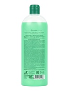 Шампунь «Полезная ботаника» экстраувлажнение для сухих и ломких волос, 430 мл - Фото 2